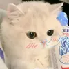 quynh31050403