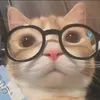 tepiijyc