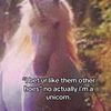 pooing_unicorns3