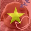 p.anh_896