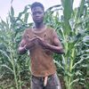 msr.la.melodi