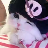 Oggy