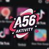 a56.aktivity