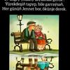 basimberdi2