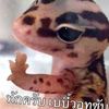 nannaphat3455