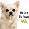 lyonpenis