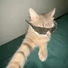 silvaxzxx_yx