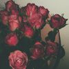 llokkall_