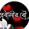 user953700088753