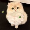 gregoryroxanne53