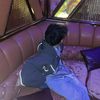 spider.frest