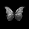 hoda.mohammed478