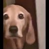 iwilleatyourahhgoodddddd