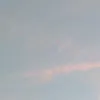vala2983