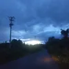 teo2606666