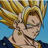 vegito2893