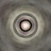 الفِدَاء