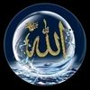 user9484352188427