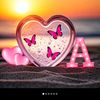 amal379493