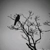 ina.abdirahman93