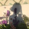 may_elhawary