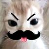 jax_digital_circus22