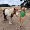 Helping hands sanctuary