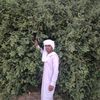 user6851988144360