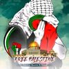 muhemed.seydi
