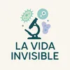 LaVidaInvisible