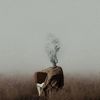 unknown1.203