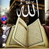 user2304217034181