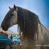 khaled.khanous1