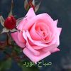 user78412519308764