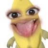 katecova