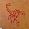 anayragml