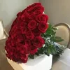 ayaghaylan481