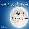 user16681228128854