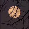 farida.emad878