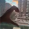daitoisbored91