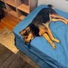 aaron_09_tj28