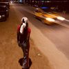nancy.thiam3