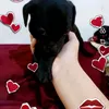 angel.melgarejo22