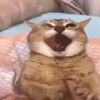 tungtungtunsahuurrrrrrr