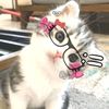 aliyaagesyott