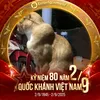 nguyn.qun1845