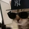 leyvu_nutz