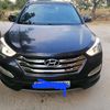 mhammad_abd66