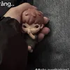 user.kbtten