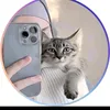 user7424446825322